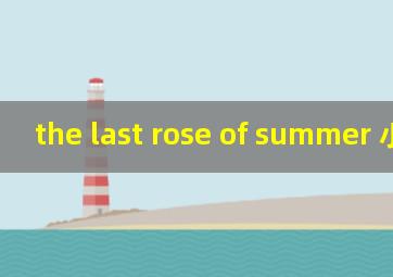 the last rose of summer 小提琴